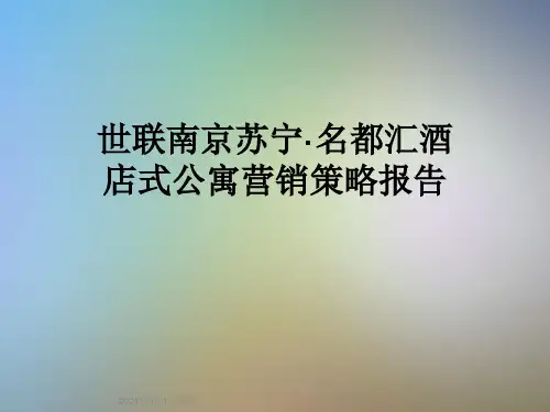 世联南京苏宁·名都汇酒店式公寓营销策略报告
