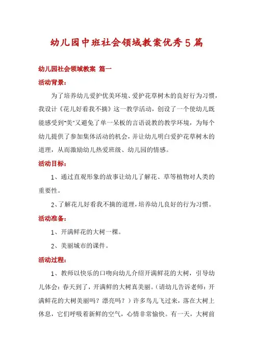 幼儿园中班社会领域教案优秀5篇