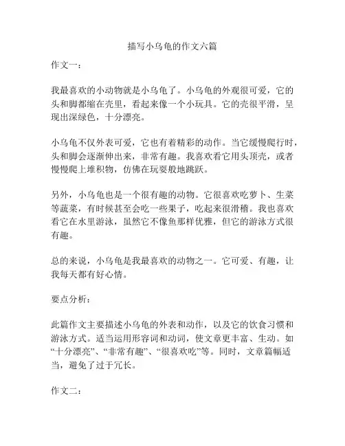 描写小乌龟的作文六篇