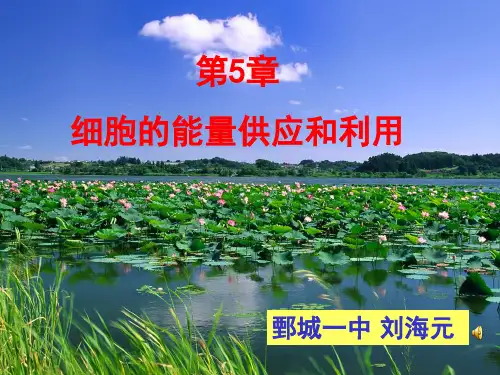 《酶的作用和本质》(课堂PPT)
