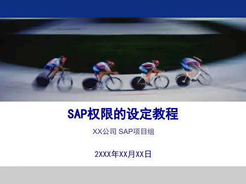 SAP权限的设定教程