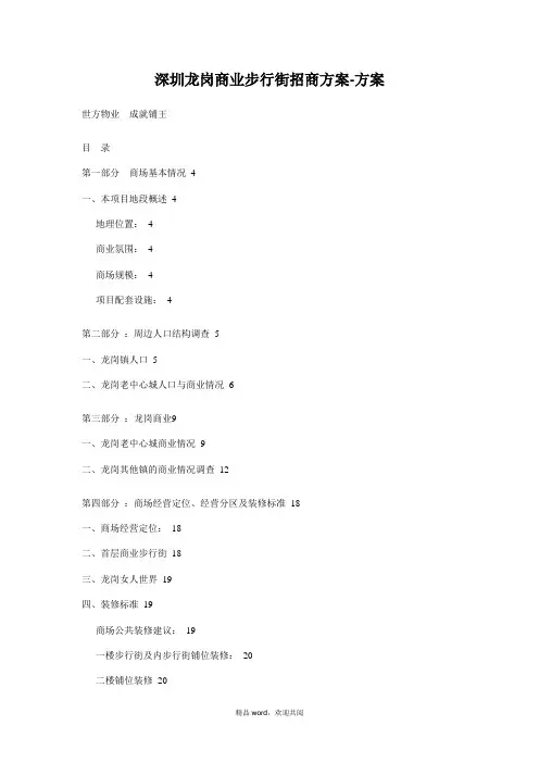 深圳龙岗商业步行街招商引资书-书