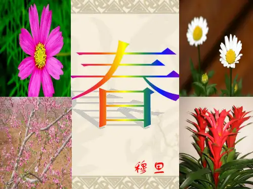 (完整)穆旦春ppt精品PPT资料精品PPT资料