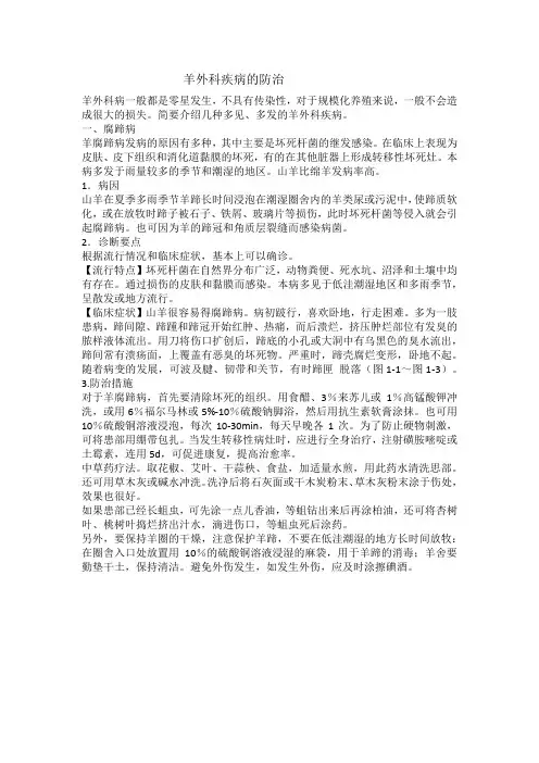 羊外科疾病的防治