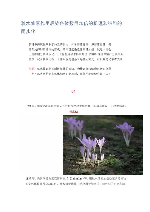 秋水仙素作用后染色体数目加倍的机理和细胞的同步化