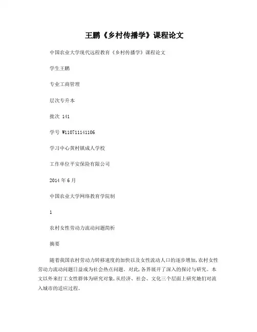 王鹏《乡村传播学》课程论文