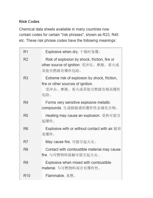 Risk Codes安全术语中英文对照