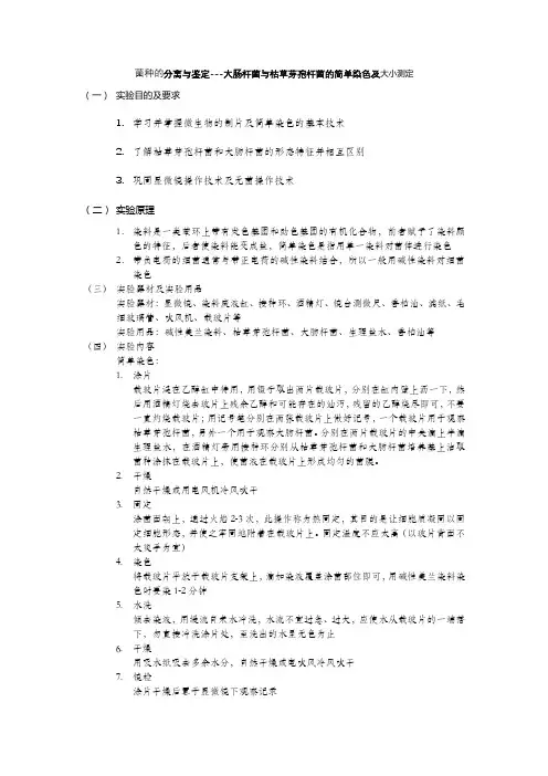 菌种的分离与鉴定---大肠杆菌与枯草芽孢杆菌的简单染色及大小测定