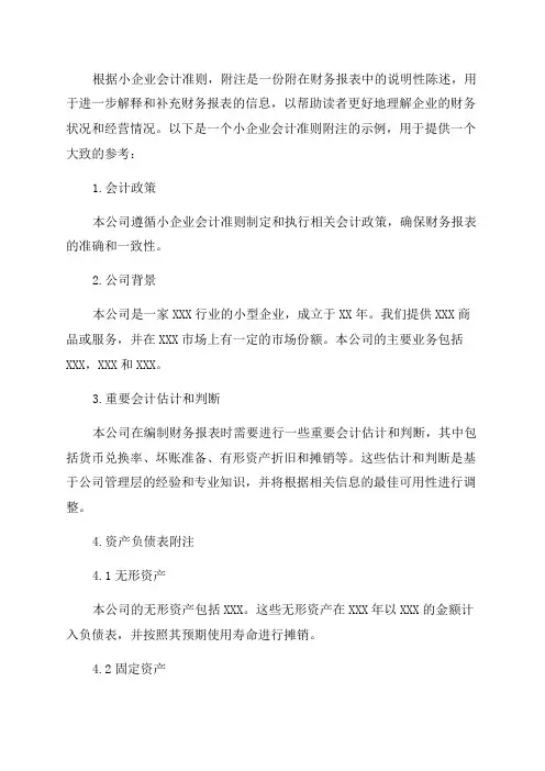 年报小企业会计准则附注