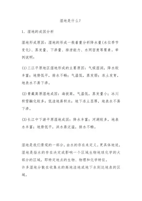 湿地是什么意思