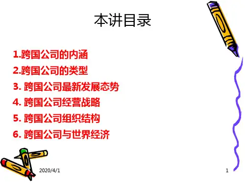 跨国公司 PPT课件