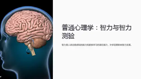 普通心理学：智力与智力测验