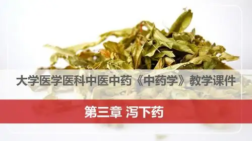 大学医学医科中医中药《中药学》教学课件：第三章 泻下药