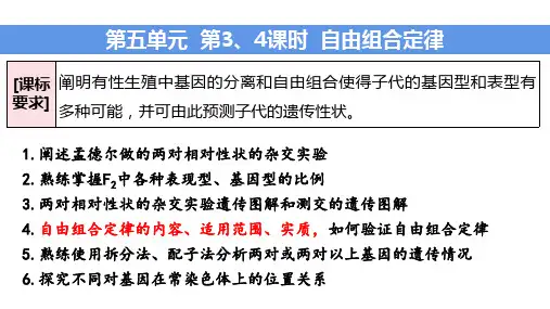 2023届高三生物一轮复习课件第五单元 第3、4课时 自由组合定律