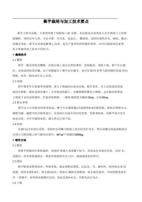 蕉芋栽培与加工技术要点