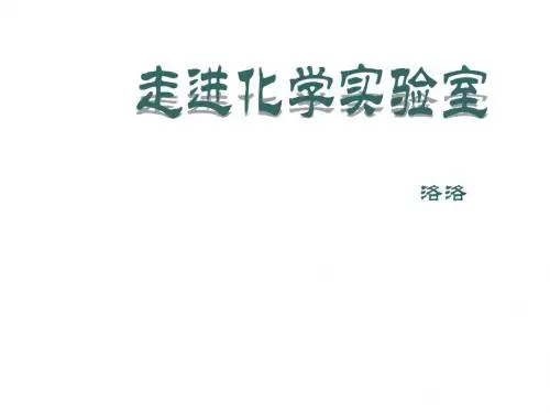 九年级化学走进化学实验室1