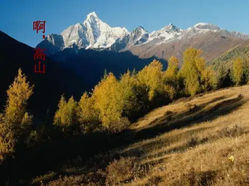 旋转的舞步