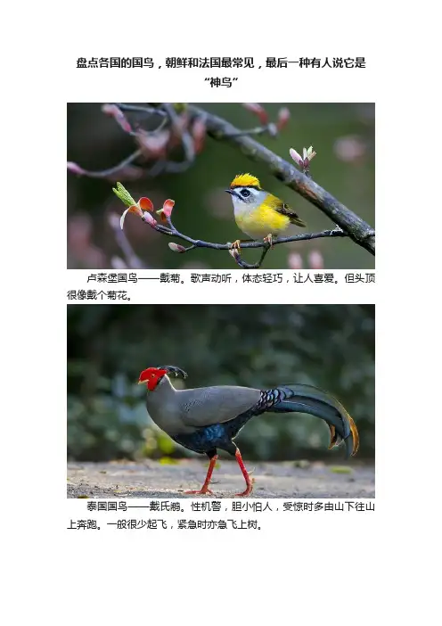 盘点各国的国鸟，朝鲜和法国最常见，最后一种有人说它是“神鸟”