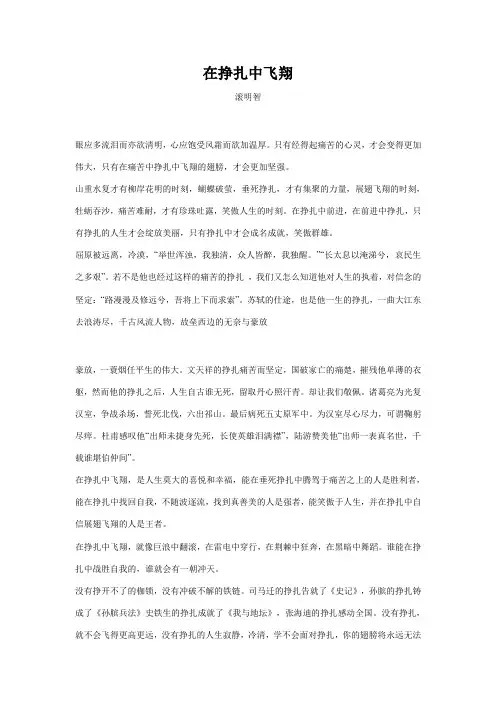 在挣扎中飞翔
