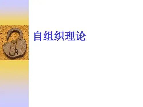 自组织理论 