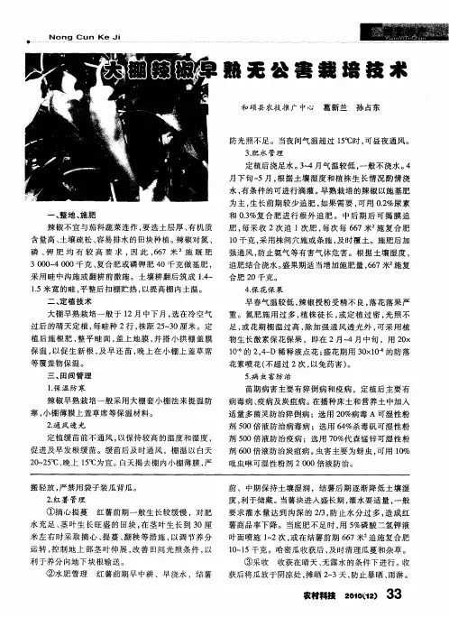 大棚辣椒早熟无公害栽培技术