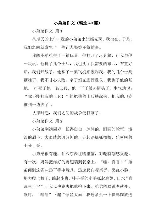 小弟弟作文(精选40篇)