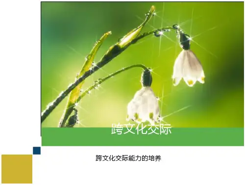 跨文化交际 跨文化交际能力的培养