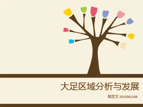 大足区域分析与发展