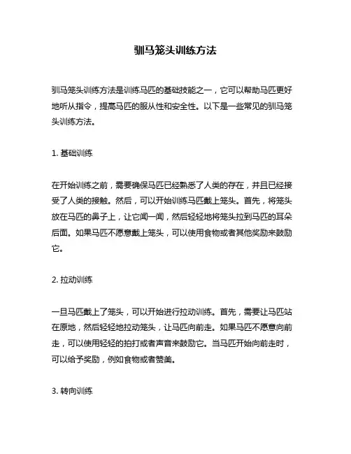 驯马笼头训练方法