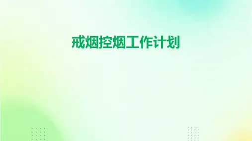 戒烟控烟工作计划PPT