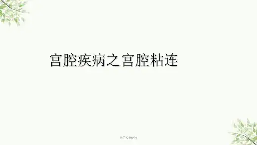 宫腔粘连课件