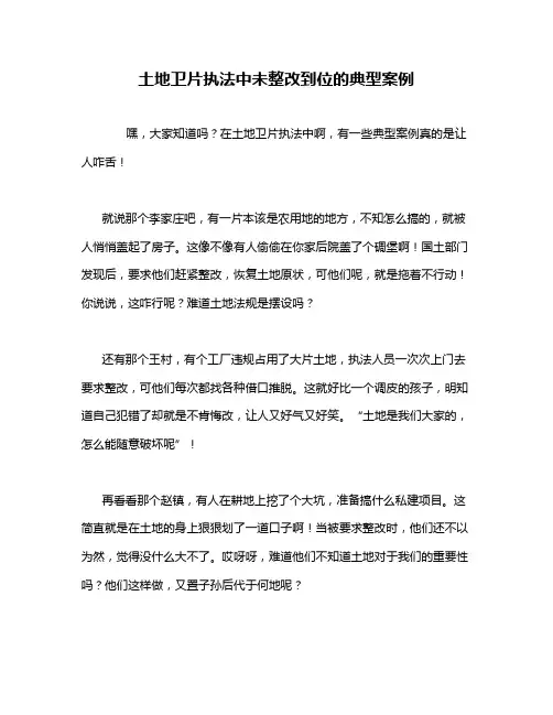土地卫片执法中未整改到位的典型案例