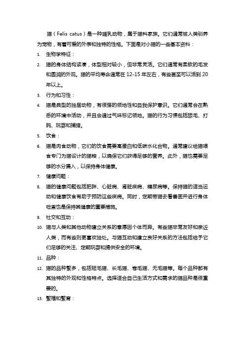 介绍小猫的资料