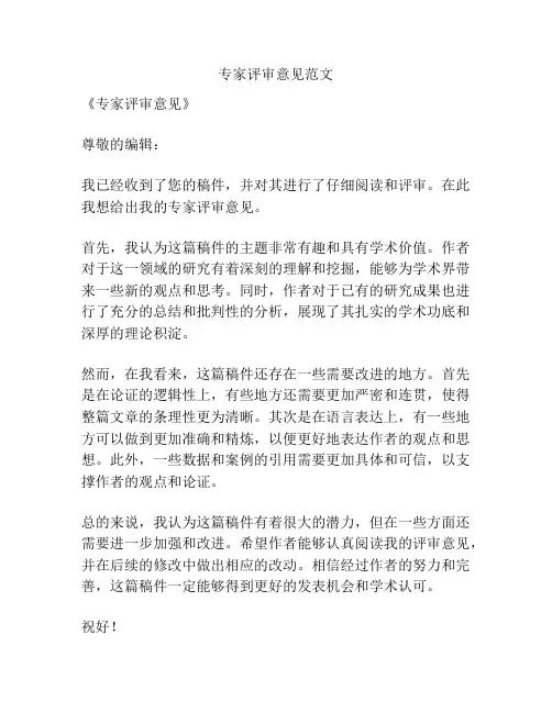 专家评审意见范文