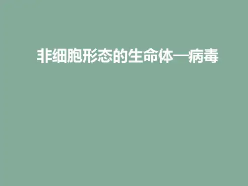 病毒参考资料课件