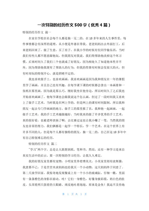 一次特别的经历作文500字(优秀4篇)