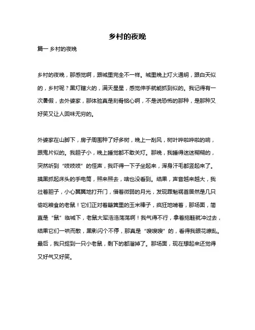 作文《乡村的夜晚》