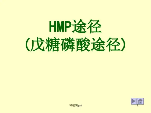 HMP途径戊糖磷酸途径