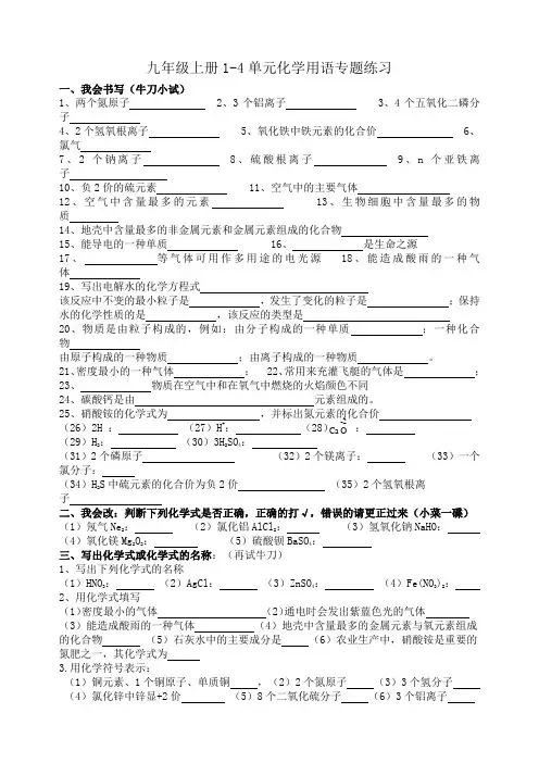 初中化学化学用语