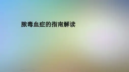 脓毒血症的指南解读