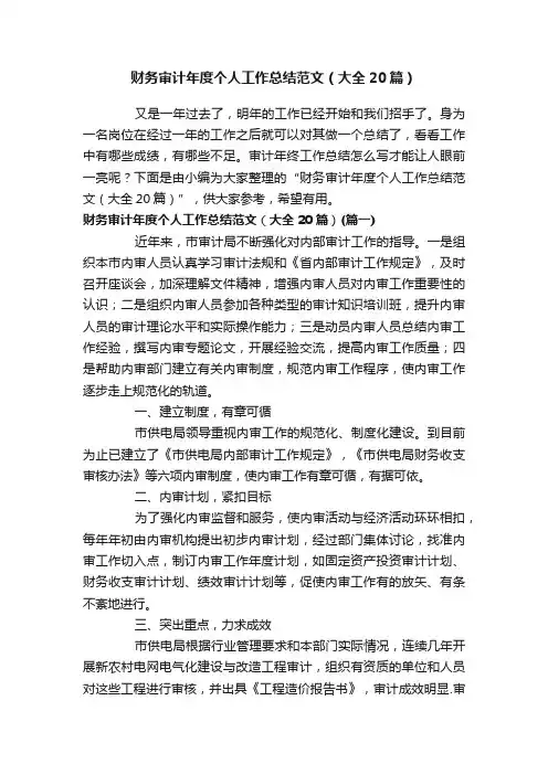 财务审计年度个人工作总结范文（大全20篇）