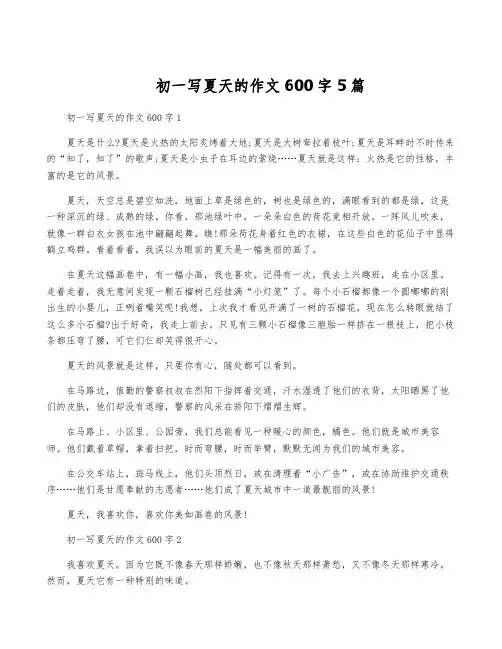 初一写夏天的作文600字5篇