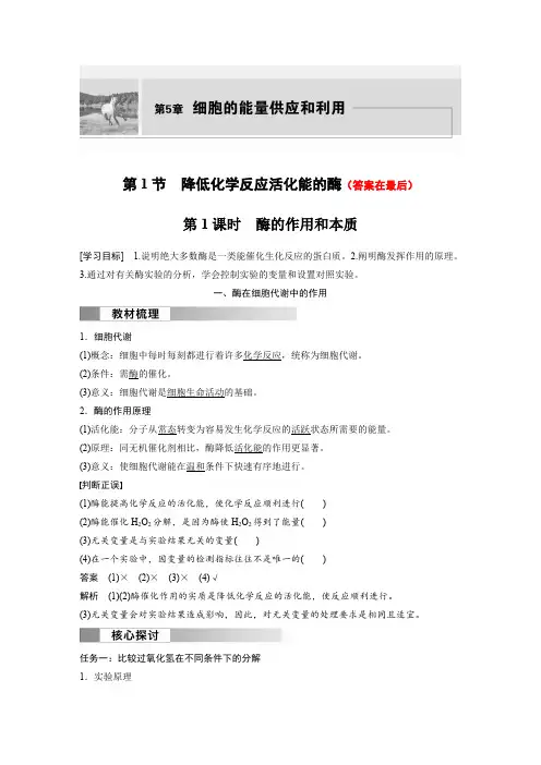 高中生物(必修第一册 人教版)讲义教案：酶的作用和本质(含答案)