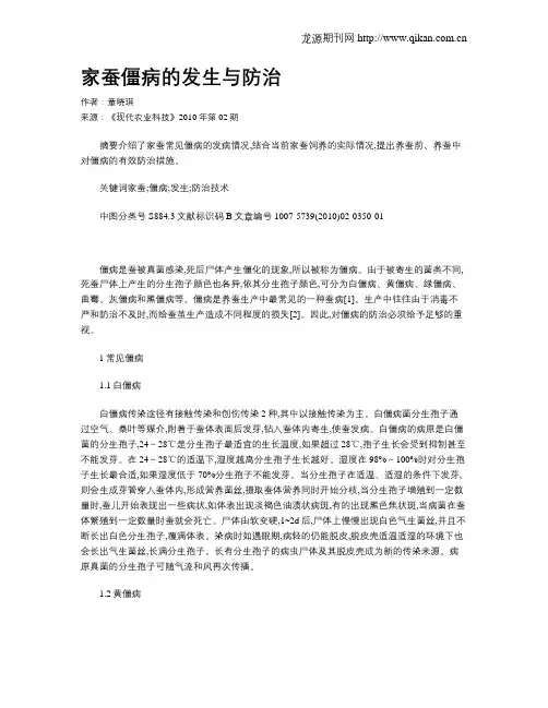 家蚕僵病的发生与防治