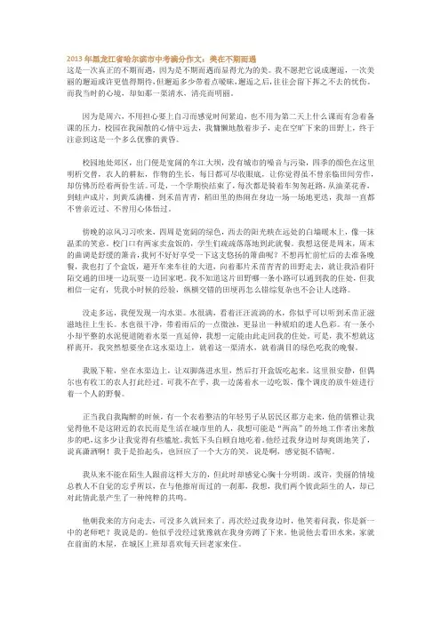 2013年黑龙江省哈尔滨市中考满分作文