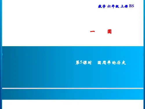 北师大版六年级上册数学习题课件- 圆一 第5课时 圆周率的历史