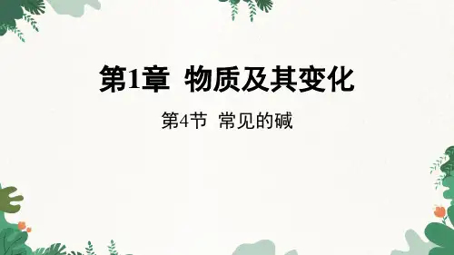 第4节常见的碱(PPT课件(初中科学)33张)