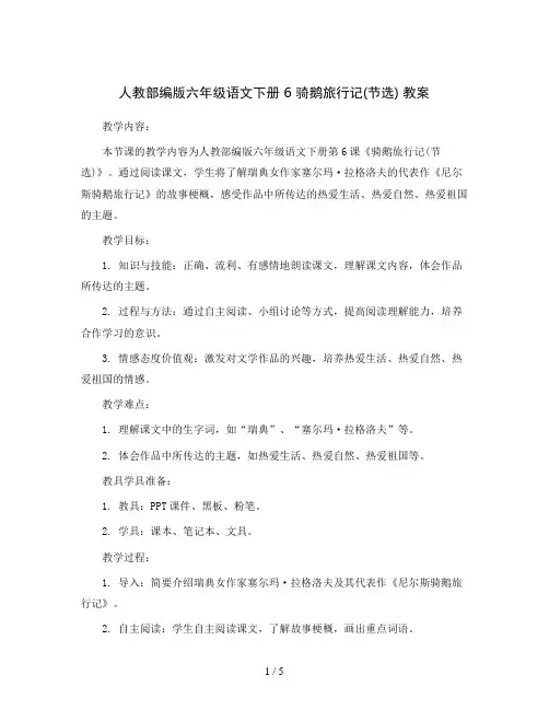 人教部编版六年级语文下册 6 骑鹅旅行记(节选) 教案