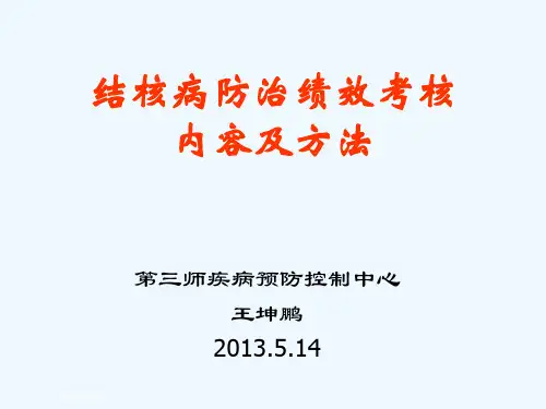 绩效考核结核病内容和方法