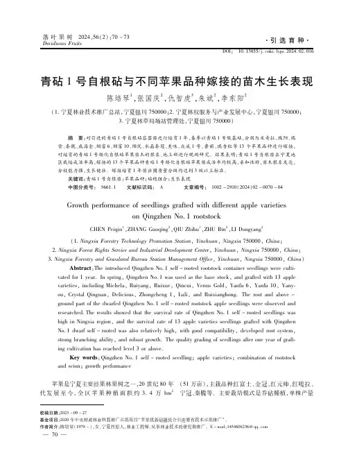 青砧1号自根砧与不同苹果品种嫁接的苗木生长表现